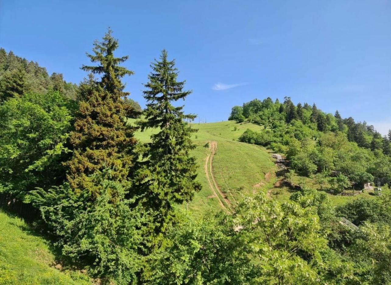 Holiday Borjomi Qvibisi Luaran gambar