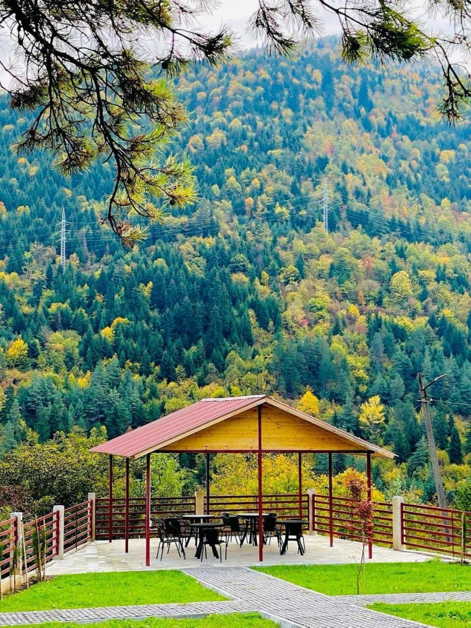 Holiday Borjomi Qvibisi Luaran gambar