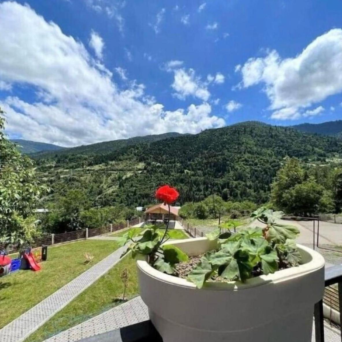 Holiday Borjomi Qvibisi Luaran gambar