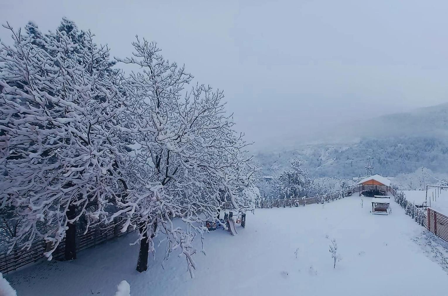 Holiday Borjomi Qvibisi Luaran gambar
