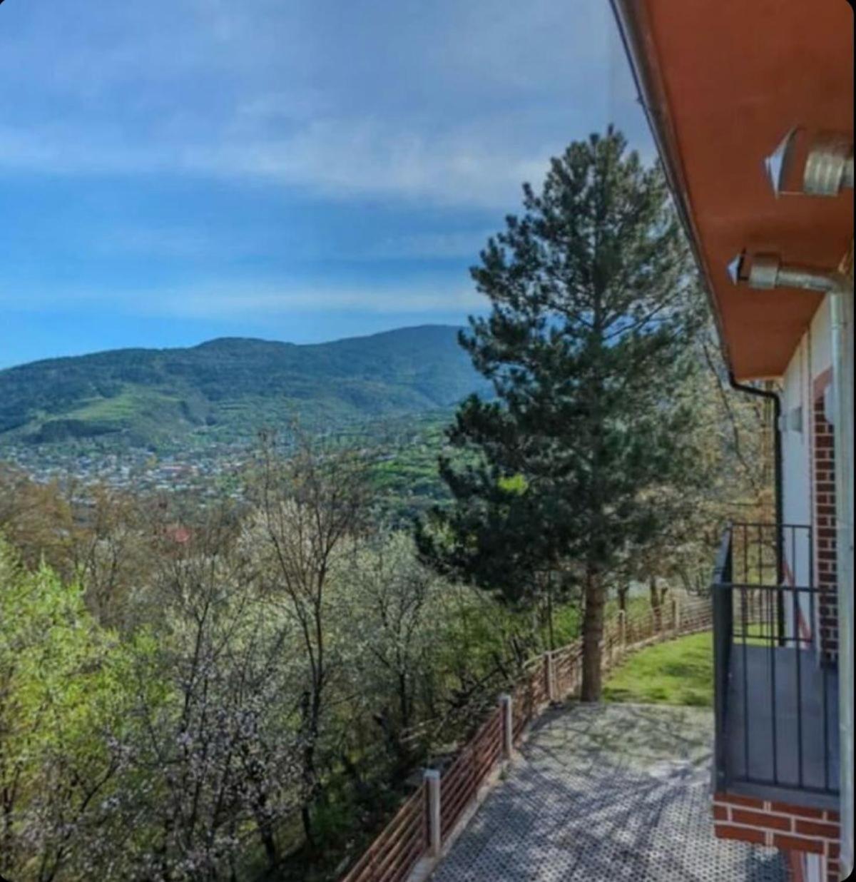 Holiday Borjomi Qvibisi Luaran gambar