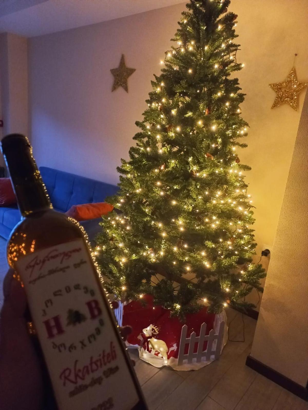 Holiday Borjomi Qvibisi Luaran gambar