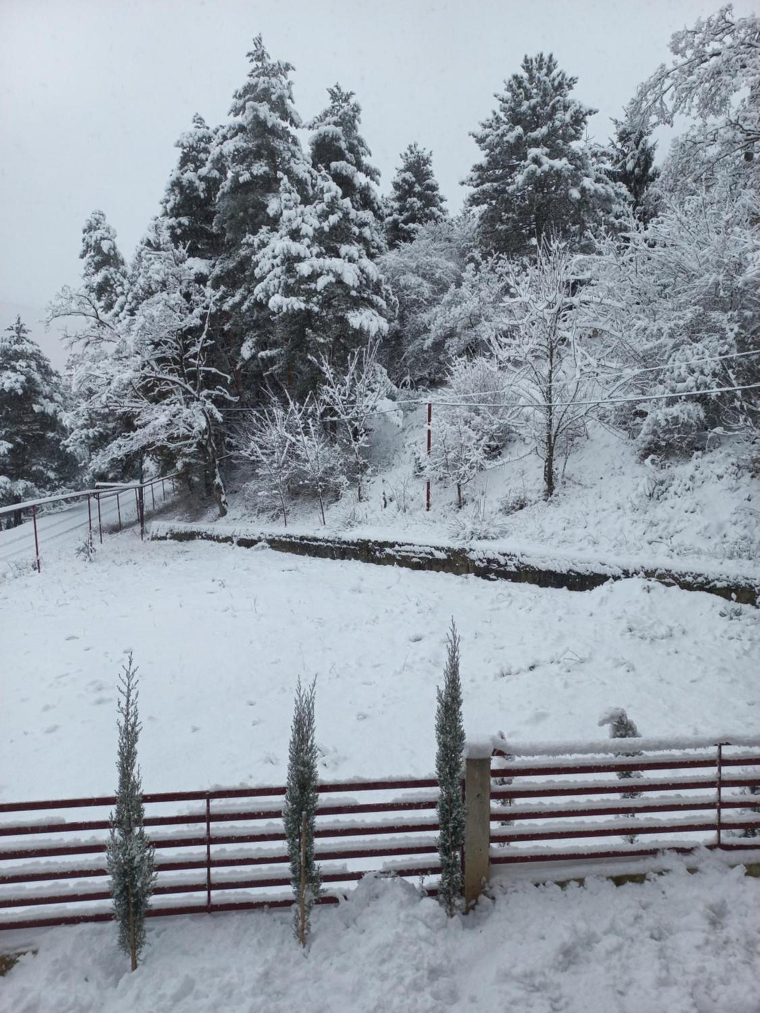 Holiday Borjomi Qvibisi Luaran gambar