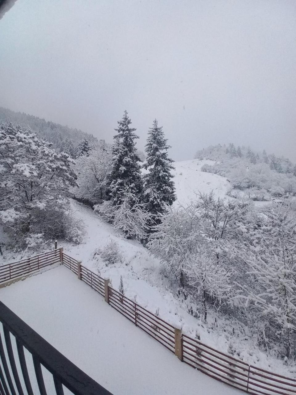 Holiday Borjomi Qvibisi Luaran gambar