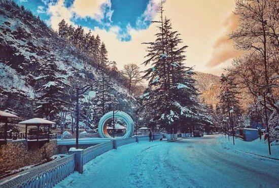 Holiday Borjomi Qvibisi Luaran gambar